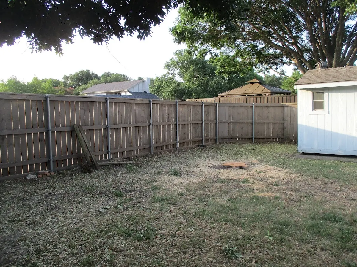 Cleared yard after professional tree removal in Orangeburg